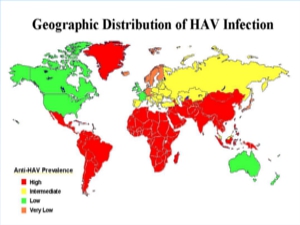 Peta Wilayah Penyebaran Hepatitis A